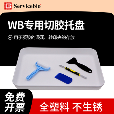 赛维尔WB专用切胶暂存方盒