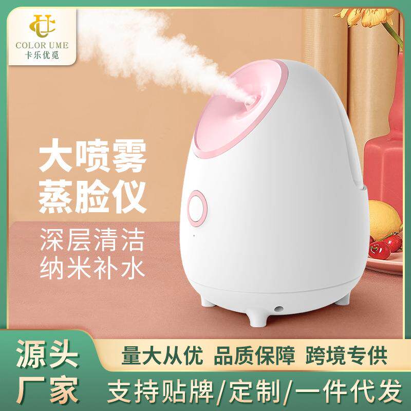 20224跨境新款便捷式家用蒸脸器 美容热喷补水保湿喷雾蒸脸仪