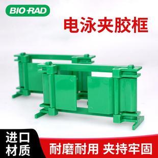 伯乐bio wb制胶架western电泳制胶框夹胶框制胶支架1653304 rad