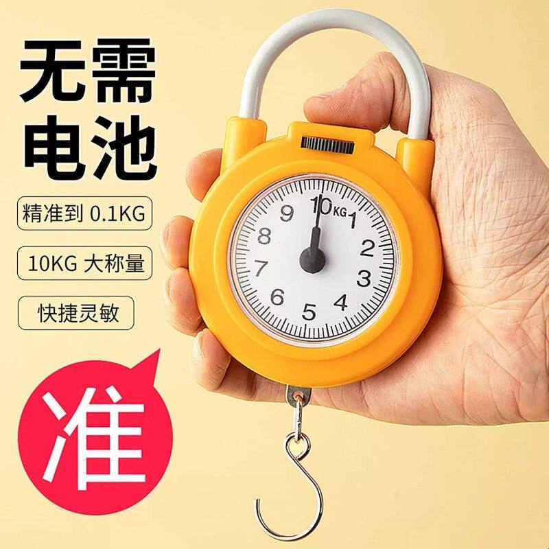 弹簧秤高精度手提称便捷式家用随身带小勾称小型手提多功能电子称
