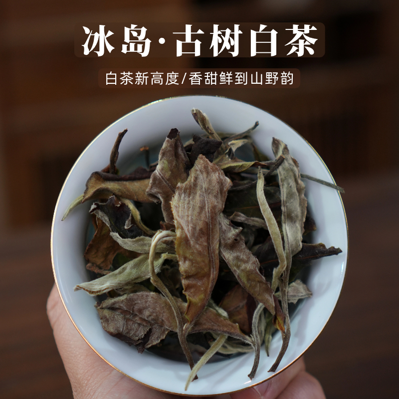 云南高山古树白茶冰岛白茶礼盒装