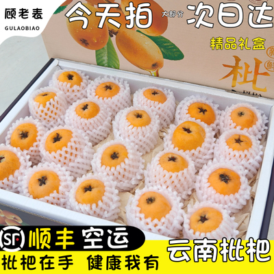 空运次日达云南枇杷现摘顺丰