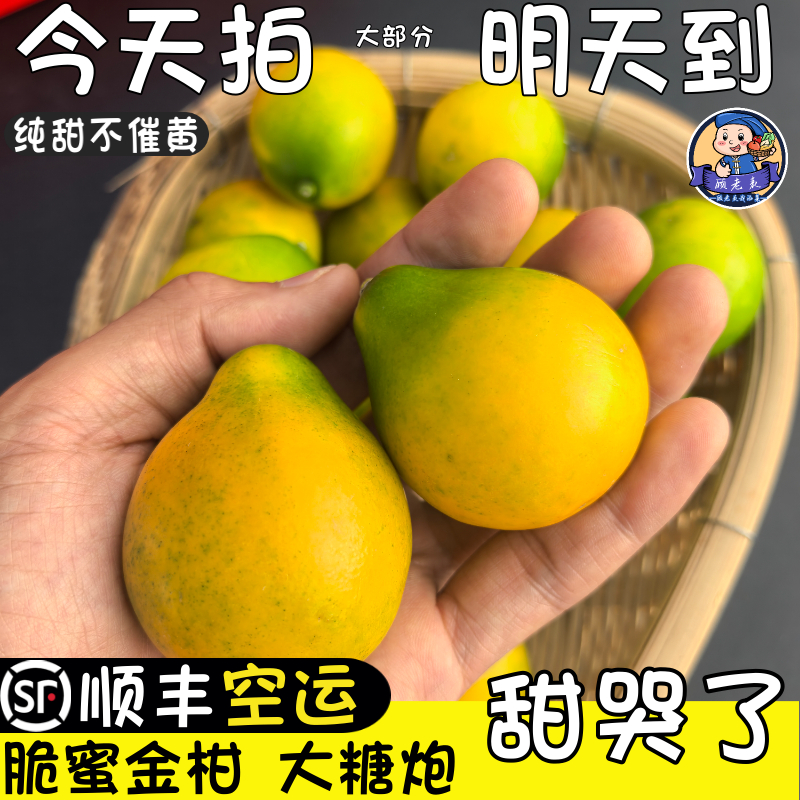空运次日达顾老表云南脆蜜金桔