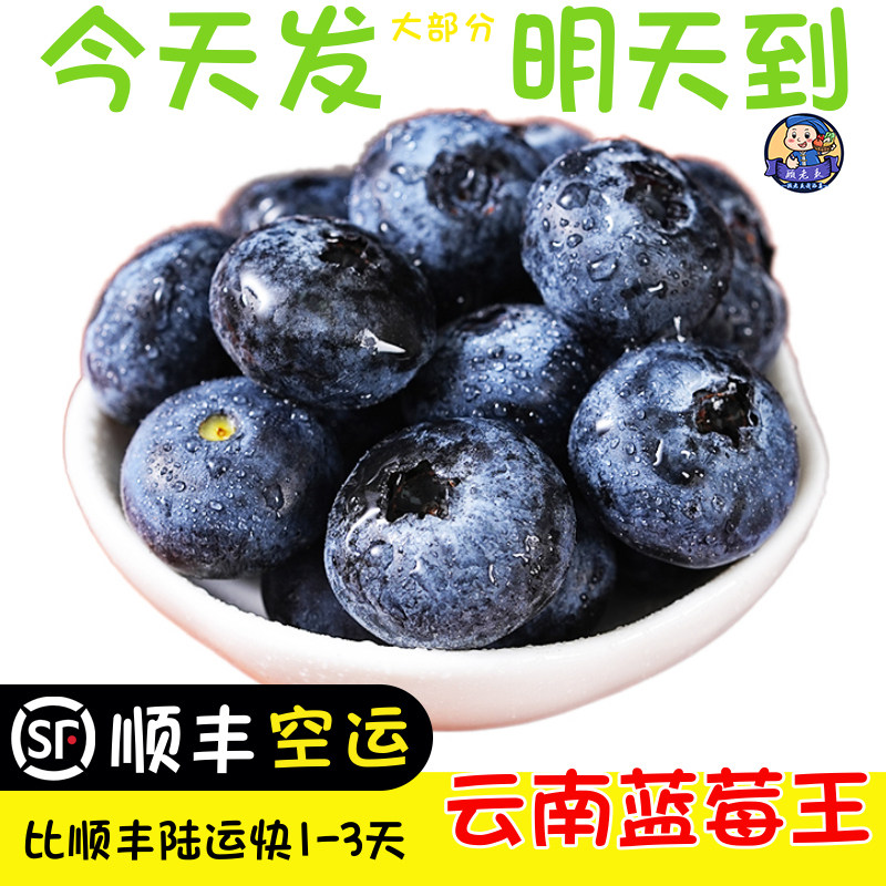 顺丰空运云南蓝莓王鲜果新鲜高山特大国产当季玉溪蓝莓125g/盒