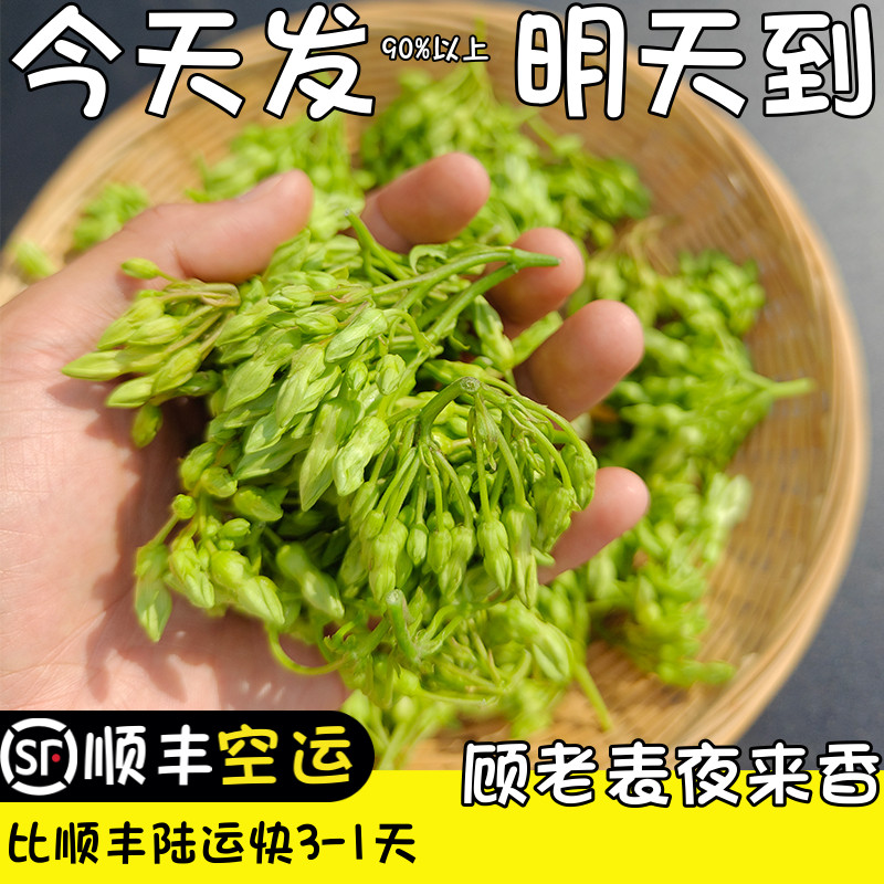 顺丰空运次日达新鲜夜来香现摘