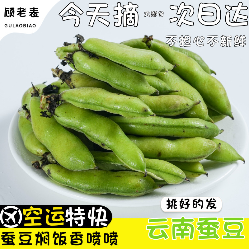 顺丰空运次日达现摘蚕豆