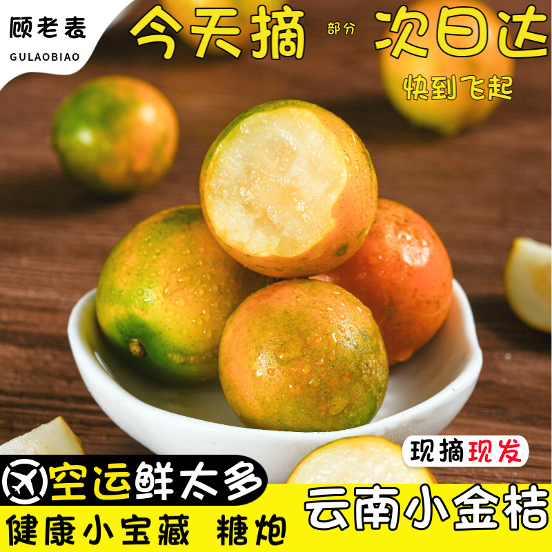 空运次日达云南金桔纯甜金钱橘