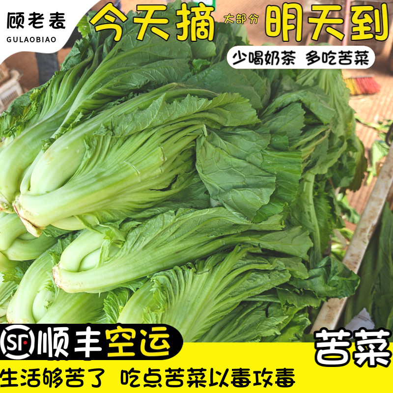 空运次日达大青菜云南现摘苦菜