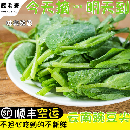 顺丰空运次日达豌豆尖豌豆苗