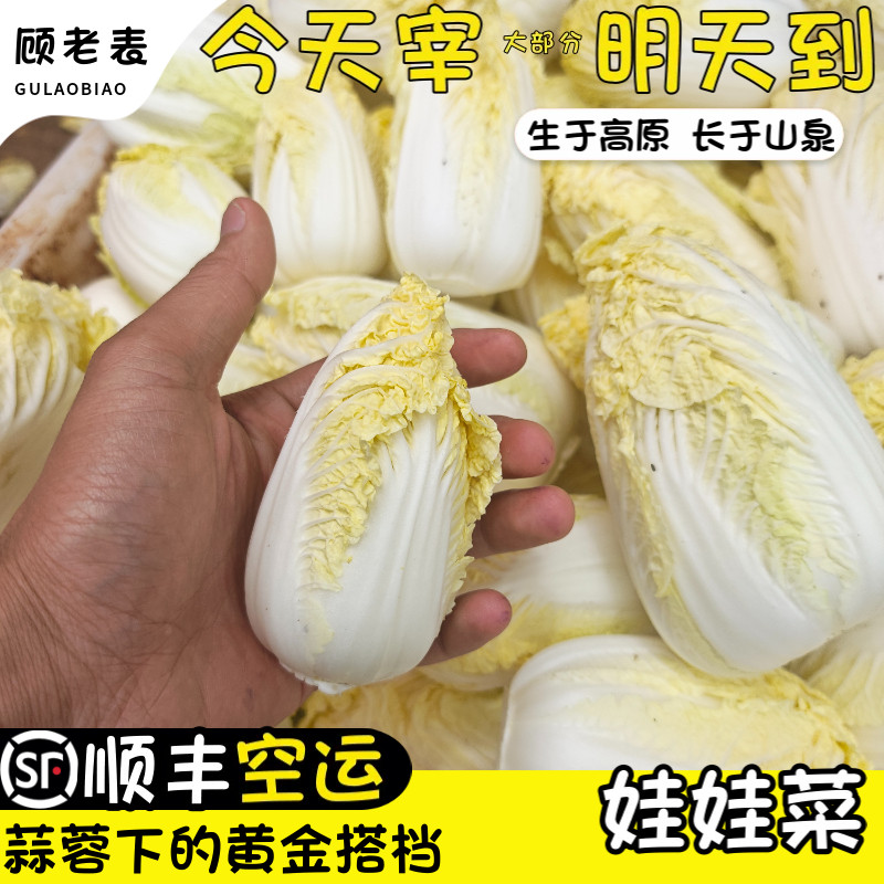 空运次日达娃娃菜高原现摘