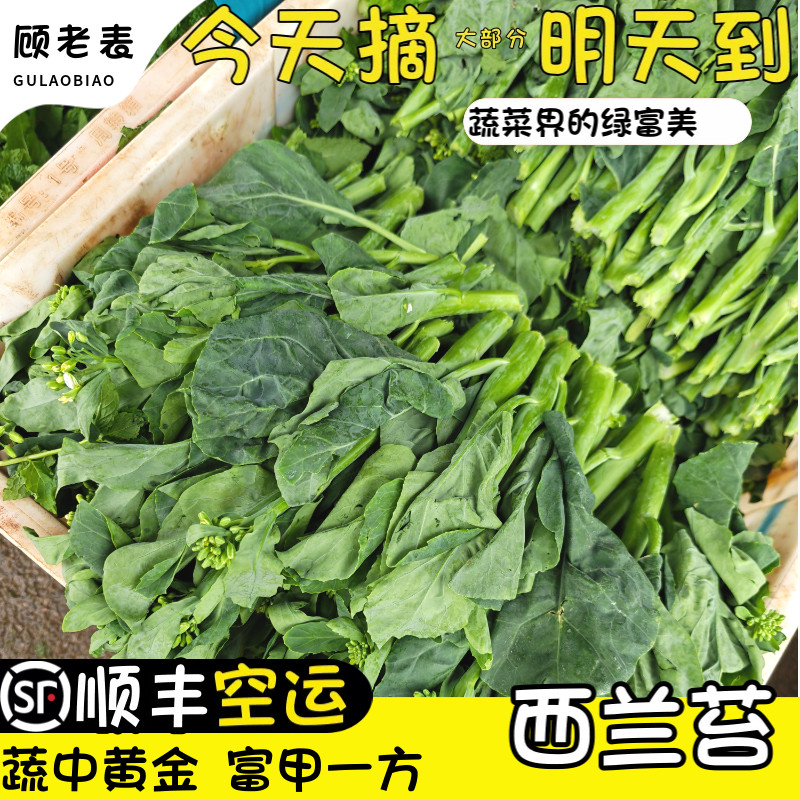 顺丰空运新鲜西兰苔西餐食材