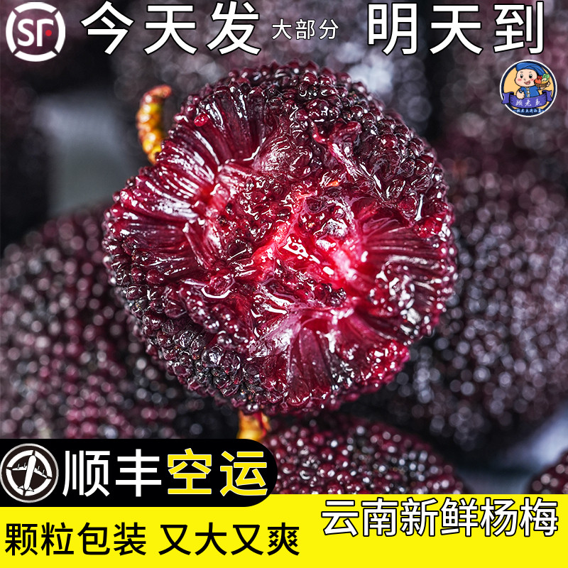 顺丰空运云南新鲜大杨梅鲜果现货荸荠孕妇可吃非冷冻当季杨梅独立