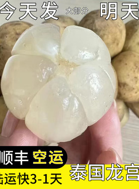 空运次日达泰国龙宫果4斤