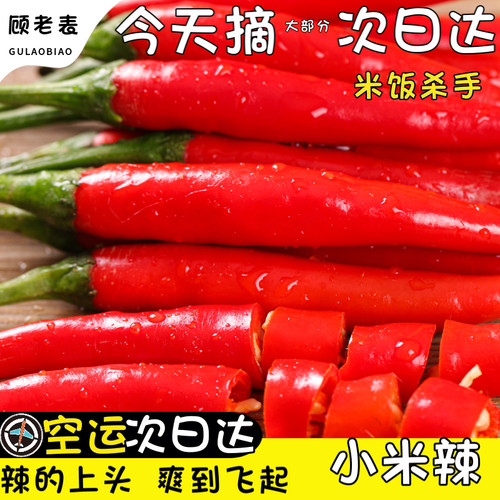 空运次日达云南特辣小米椒