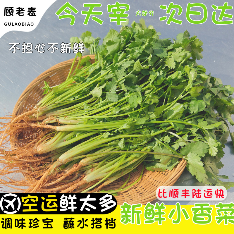 空运次日达顾老表云南小香菜