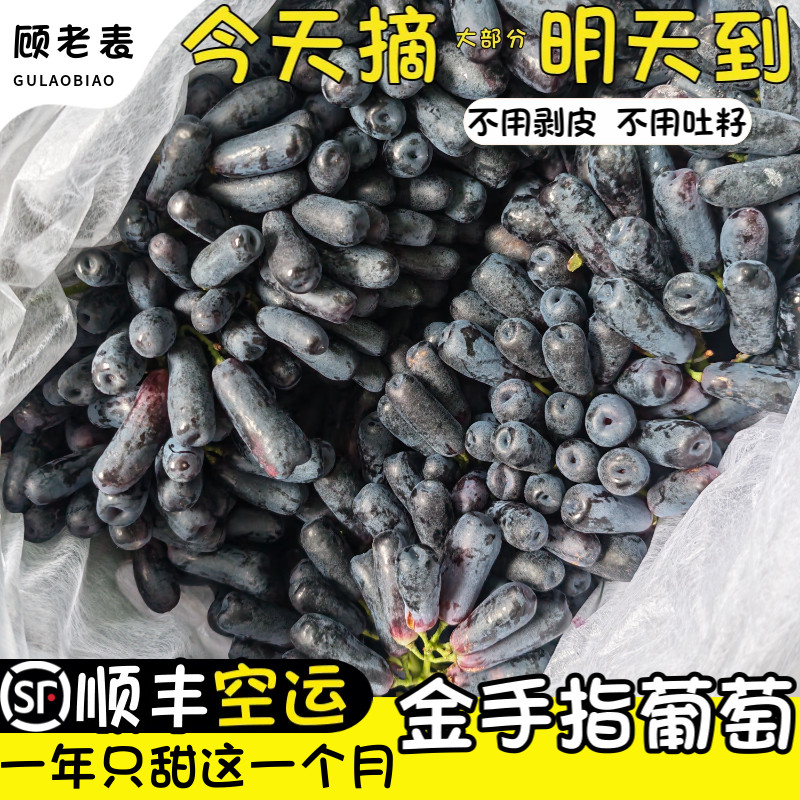 空运次日达金手指葡萄无籽黑提