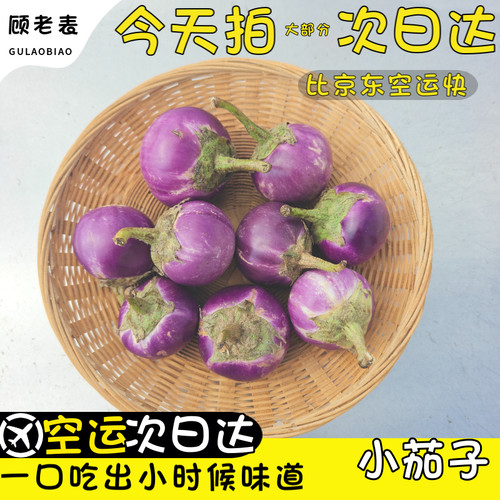 西双版纳空运次日达小圆茄子