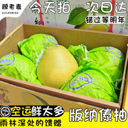 空运云南傣柚国产好柚子香甜多汁大柚子西双版纳傣柚东试早丑柚
