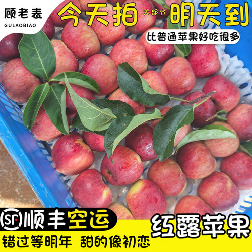 空运次日达云南红露丑苹果