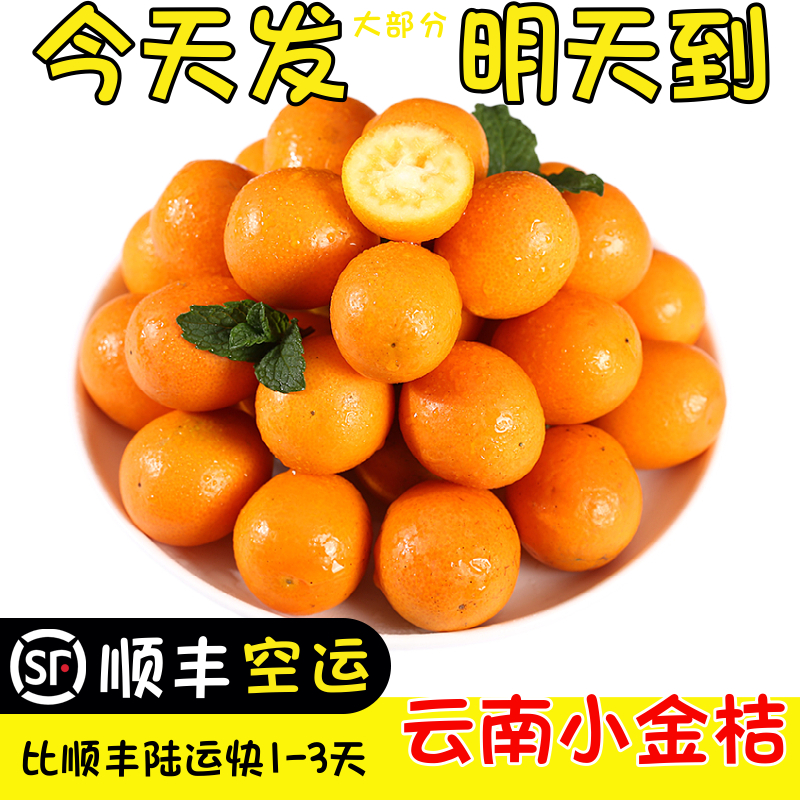 顺丰空运云南金桔新鲜水果金桔金钱橘孕妇小孩咳嗽泡酒酸甜2斤