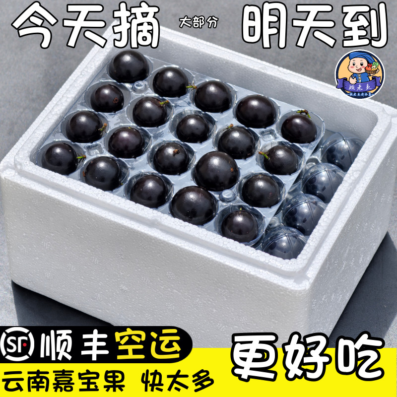 顺丰空运次日达云南嘉宝果