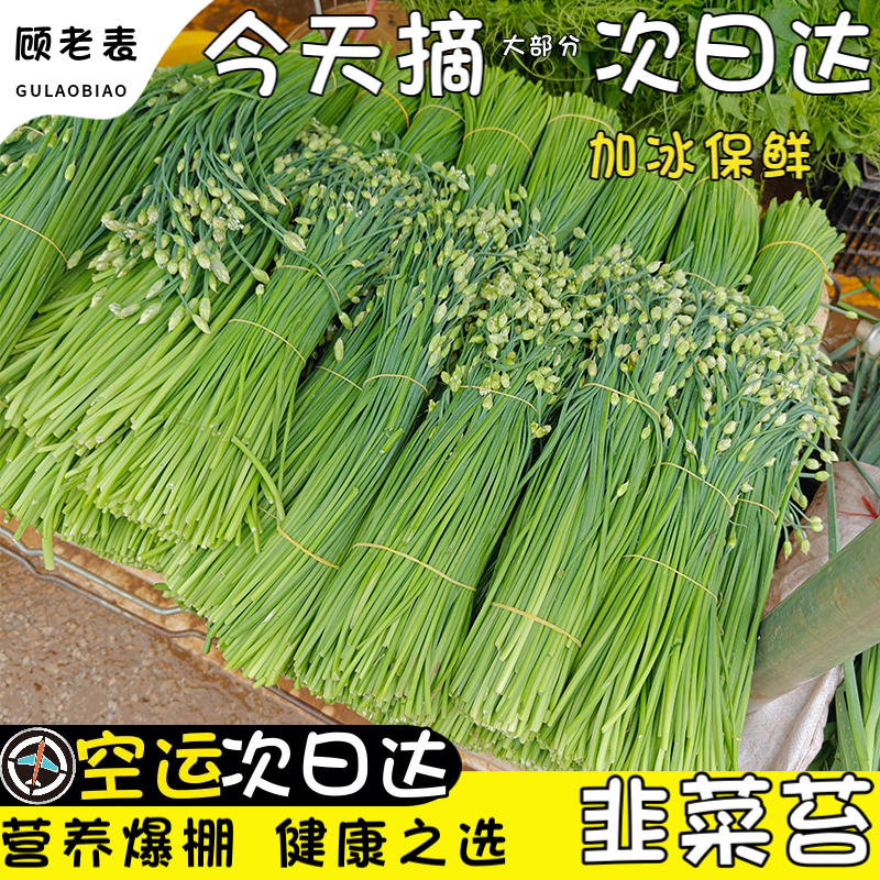 顾老表云南韭菜苔现摘空运到家