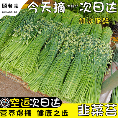 空运次日达云南韭菜苔现摘