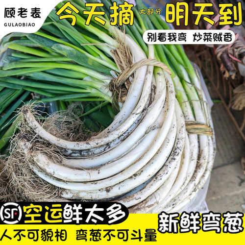 空运次日达现摘香弯葱