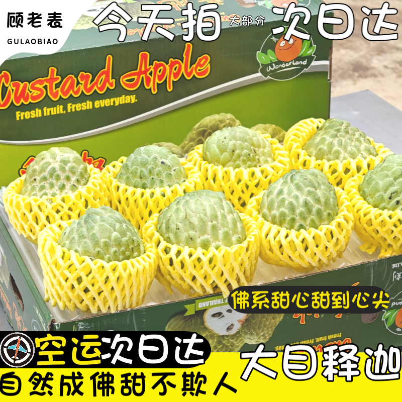 空运释迦顾老表大目释迦果