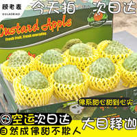 空運釋迦顧老表大目釋迦果