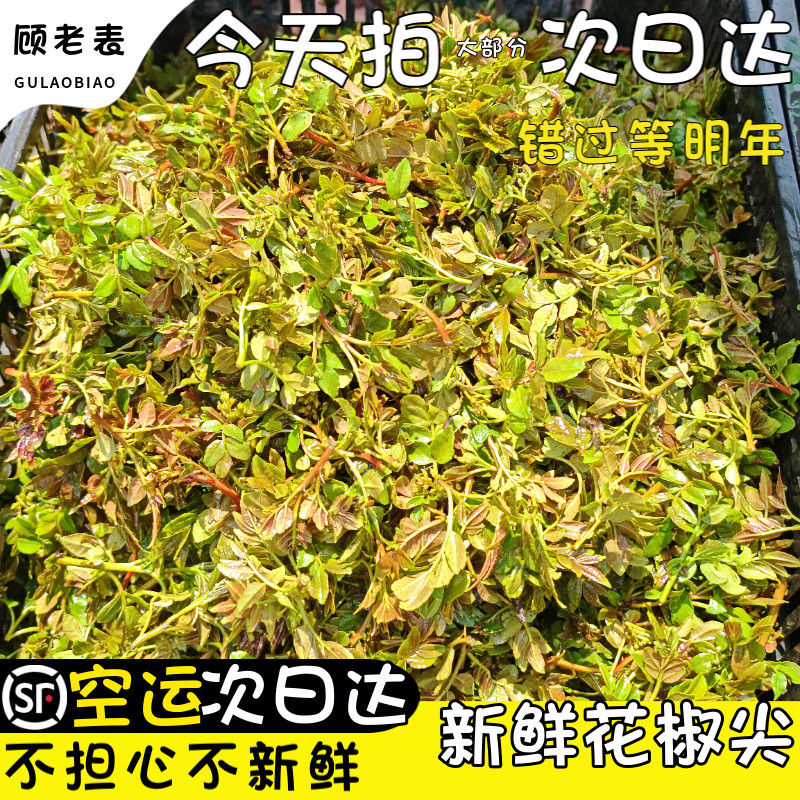 顺丰空运次日达新鲜花椒芽野菜
