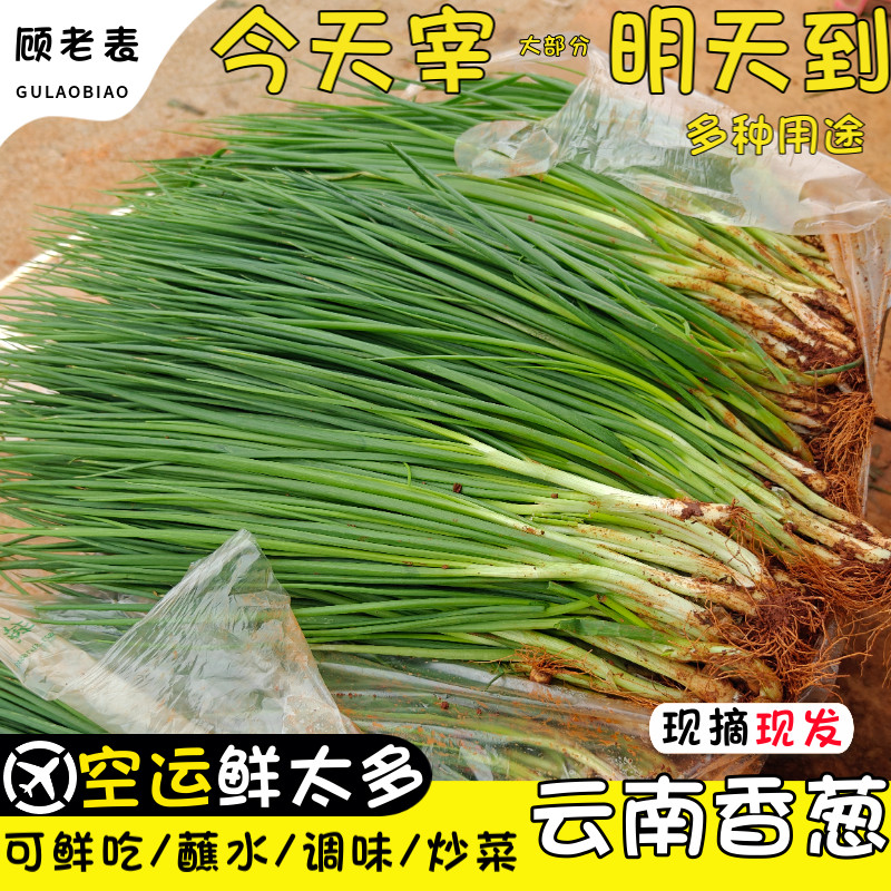 顾老表空运次日达现摘小香葱