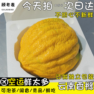 空运次日达云南香缘大果新鲜香橼果香圆佛手柑水果摆贡观赏香园