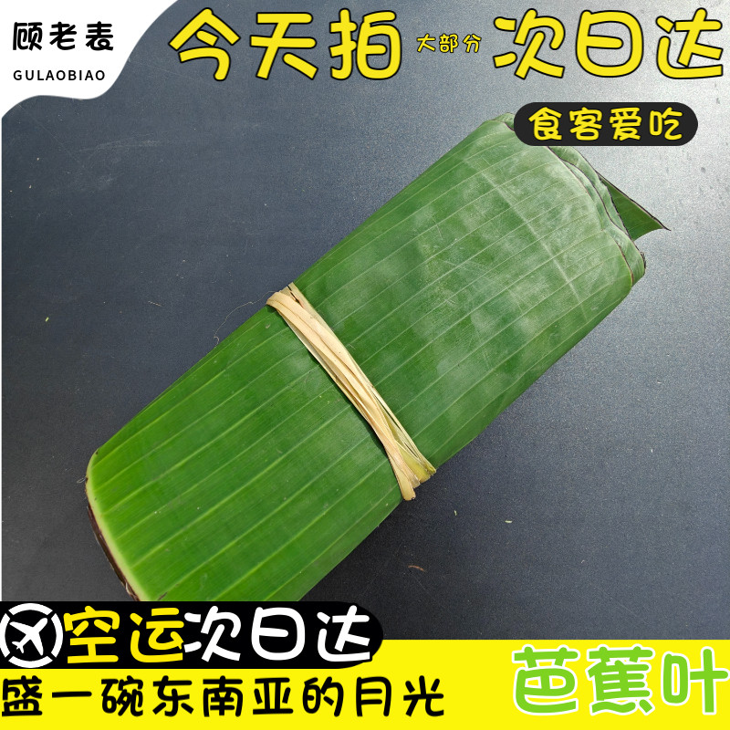 空运次日达芭蕉叶新鲜香蕉叶做糍粑粽子糕点傣式烧烤摆盘装饰EMS