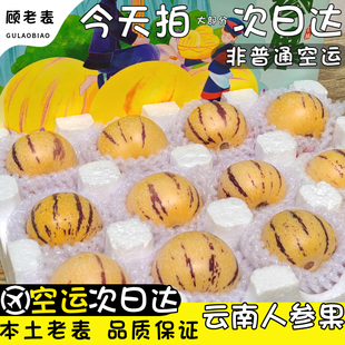 空运云南石林人参果大果新鲜现摘水果七彩黄肉圆果高山人生果4斤