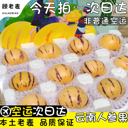 顾老表空运石林人参果黄肉圆果