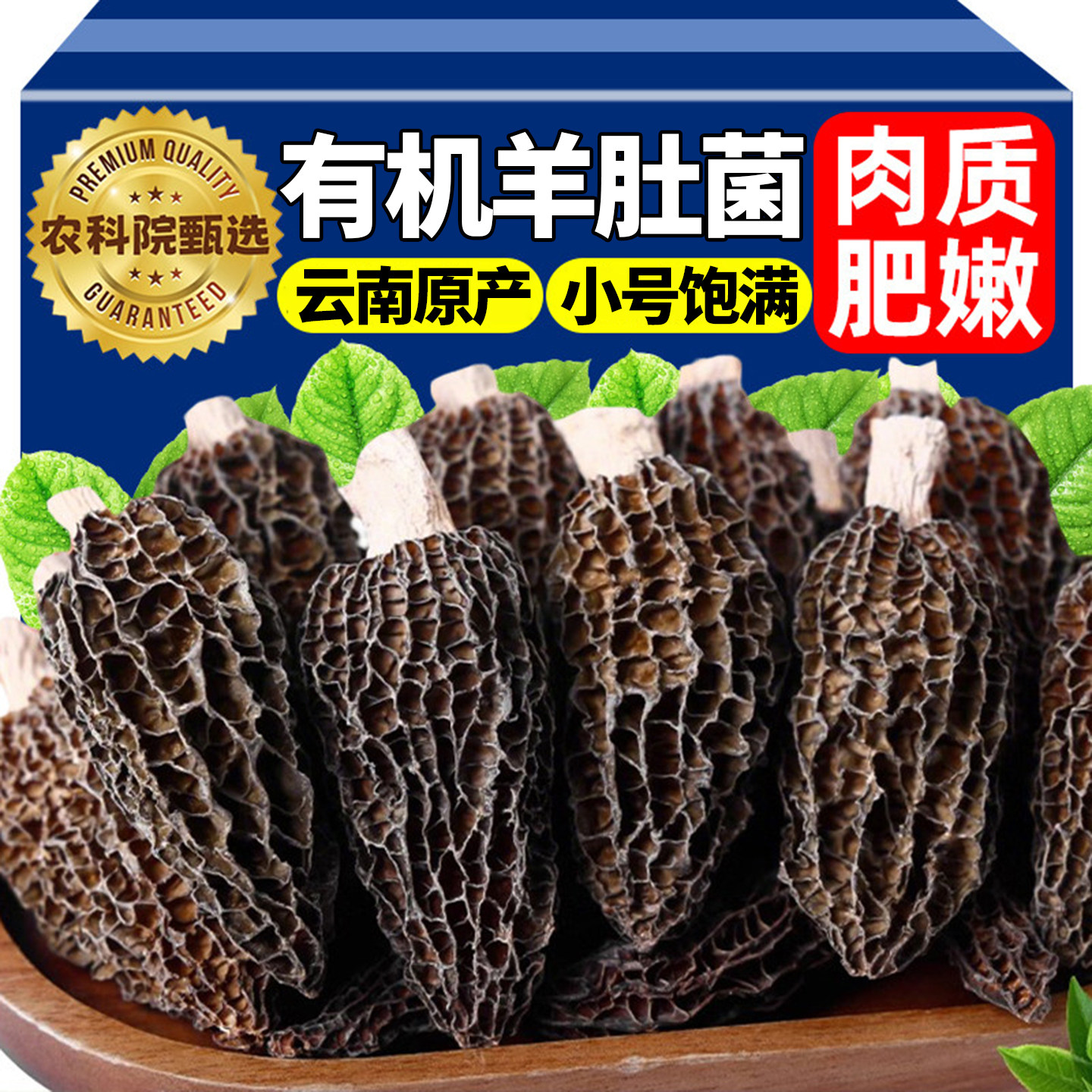 云南精选小号有机羊肚菌头茬特级干货野生新鲜菌菇煲汤火锅食材料,粮油调味/速食/干货/烘焙,羊肚菌,淘宝优惠券,粉丝福利购,淘宝优惠卷