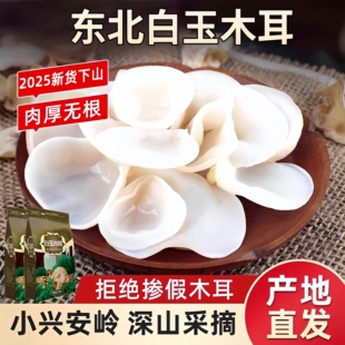 正宗野生白玉木耳长白山特级有机干货新鲜饭店商用家用官方旗舰店