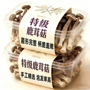 福建古田鹿茸菇干货特级正品官方旗舰店正宗一级新货优质鹿茸菇