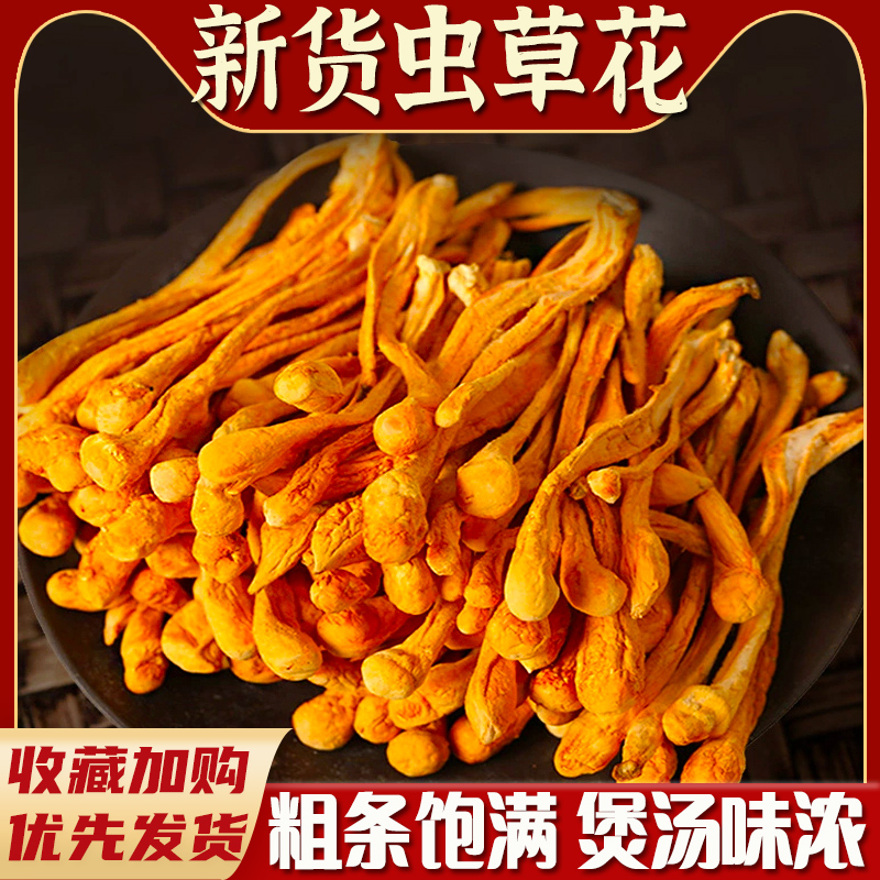 虫草花干货孢子头食用菌干货精选煲汤精品盒装精品送礼菌菇无熏硫