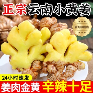 正宗云南小黄姜2025优质有机新鲜生姜罗平老姜批发姜粉官方旗舰店