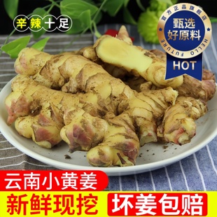 正宗云南小黄姜2025优质有机新鲜生姜罗平老姜批发姜粉官方旗舰店