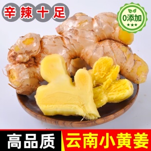 正宗云南小黄姜新鲜生姜嫩姜2025新货有机老姜祛湿驱寒官方旗舰店