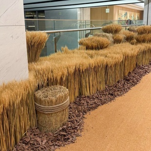 金色麦田造景田园景观会展装饰麦穗大麦干花秋收环创秋日橱窗摆件