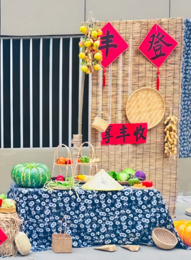 幼儿园秋季晒秋自然角环创布置秋收冬藏农耕运动会主题装饰道具