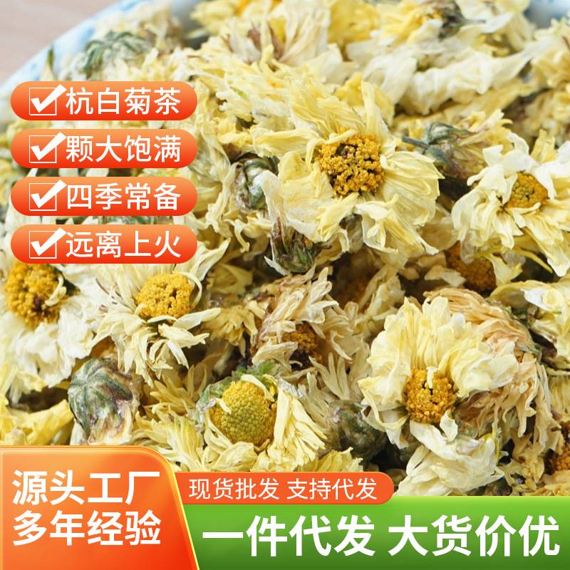 桐乡杭白菊朵花一斤散装产地菊花茶现货花茶