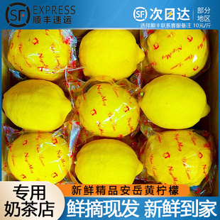 安岳新鲜黄柠檬9斤奶茶店专用一二级薄皮商用四川青柠檬薄皮水果