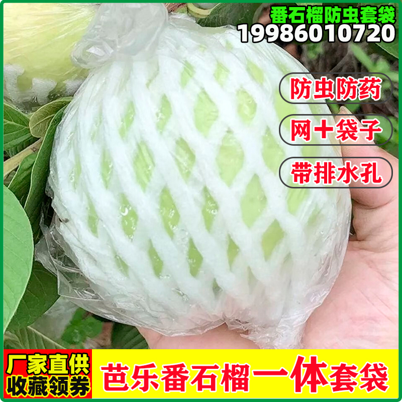 芭乐防虫网袋番石榴套袋网袋专用一体泡沫包装袋番石榴袋水果网套