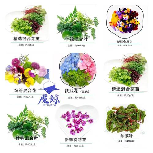 新鲜摆盘装饰摆盘装饰花草西餐