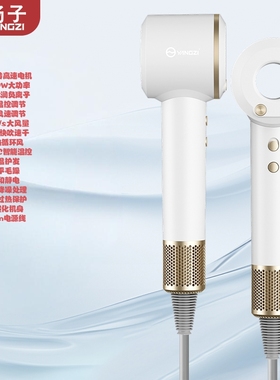 扬子负离子吹风机高速水润护发智能恒温电吹风低噪速干快吹8828